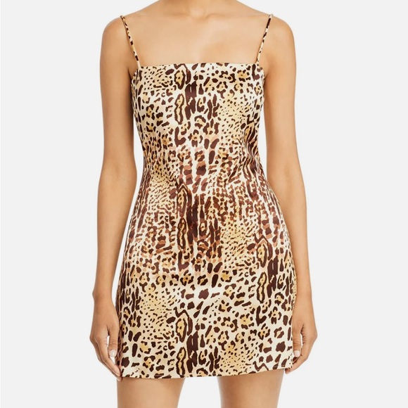 Anine Bing Dresses & Skirts - ANINE BING Valentine Stretch Silk Mini Dress in Cheetah Print